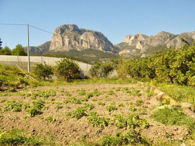 Terreno en Venta en Polop