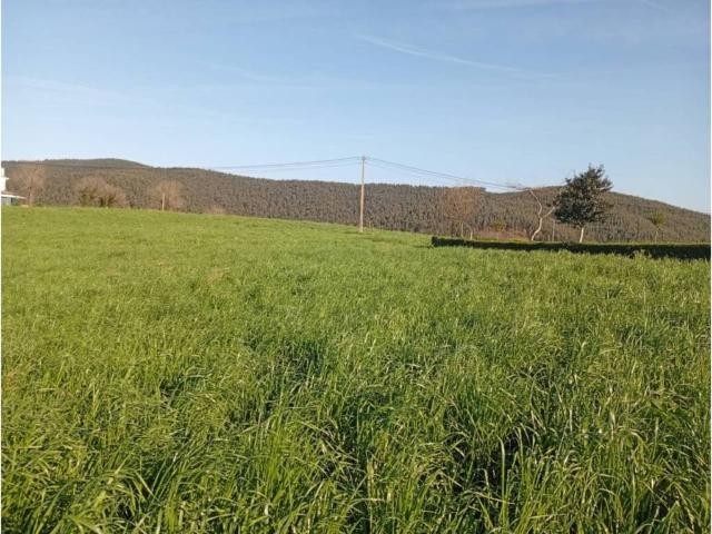 Terreno en Venta en Polanco