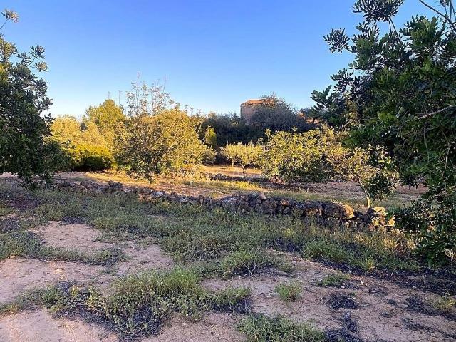 Terreno en venta en polígono Diseminado, Perelló, el Tar, de 4.969 m² por 29.000