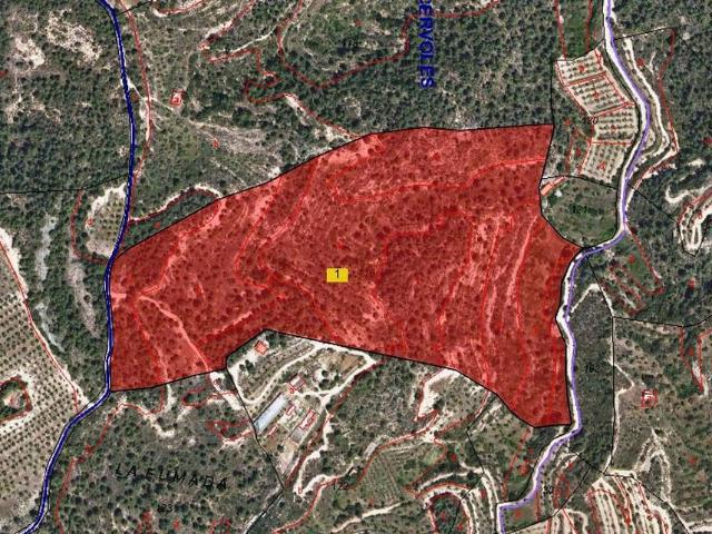 Terreno en venta en polígono Parc, Pobla de Cérvoles, la, de 81.521 m² por 15.000