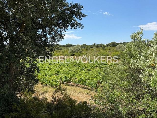 Terreno en venta en polígono Parcela, Garriguella, de 27.980 m² por 33.576