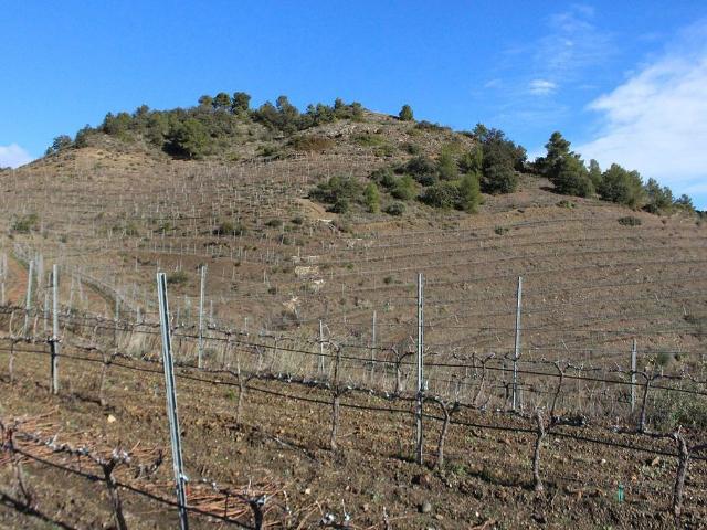 Terreno en venta en polígono Parcela Partida Solanes, Porrera, de 6.609 m² por 14.000
