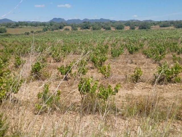 Terreno en venta en polígono Parcela, Pla de Santa Maria, el, de 26.611 m² por 40.000