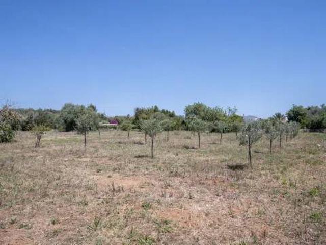Terreno en Venta en Pollença