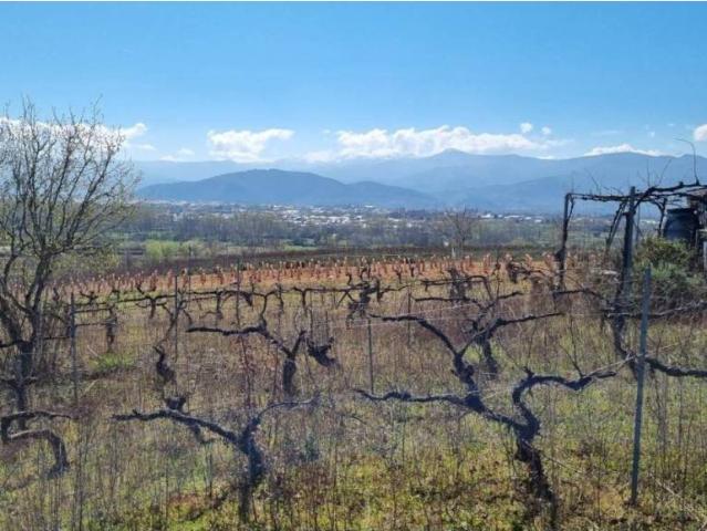 Terreno en Venta en Ponferrada
