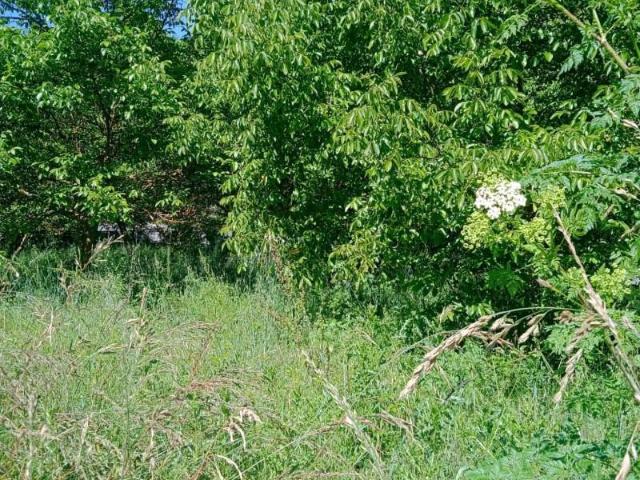 Terreno en venta en Ponferrada, San lorenzo