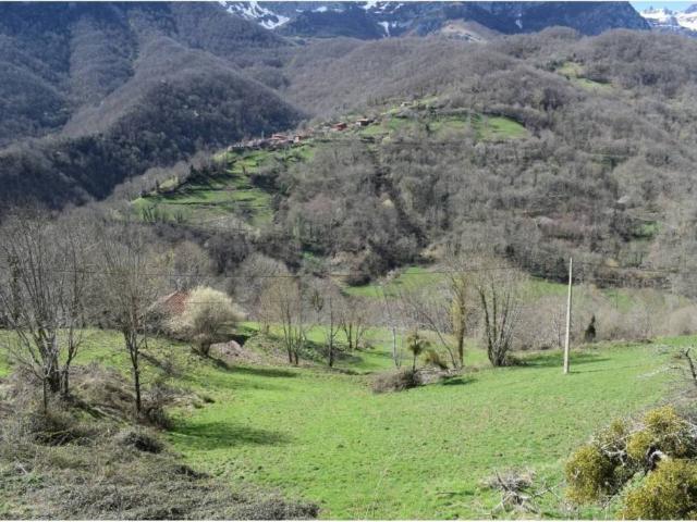 Terreno en Venta en Ponga