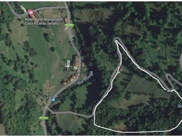 Terreno en Venta en Ponga