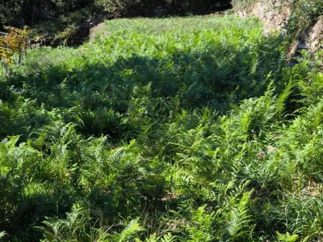 Terreno en Venta en Ponteareas