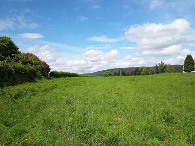 Terreno en Venta en Pontedeume