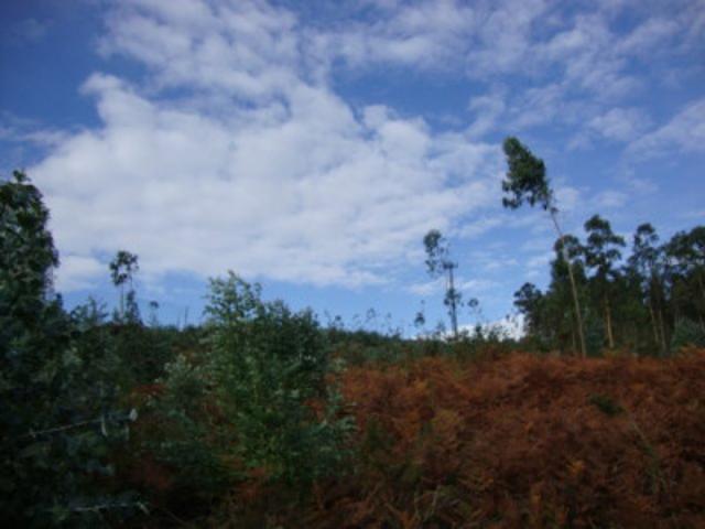 Terreno en venta en Pontevedra, Pontevedra