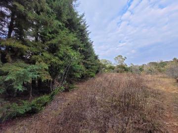 Terreno en venta en Pontezuelas, Charo, Michoacán de Ocampo