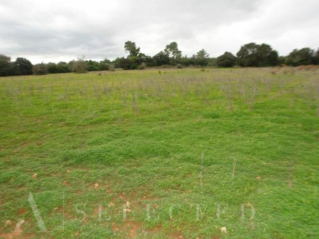 Terreno en venta en Porreres