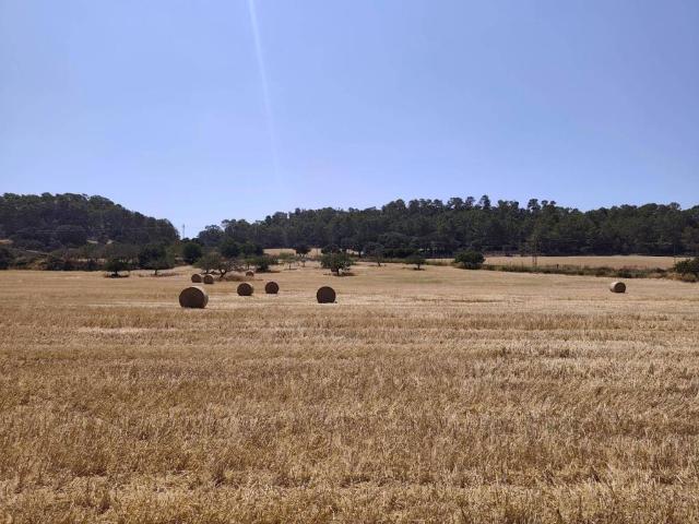 Terreno en Venta en Porreres