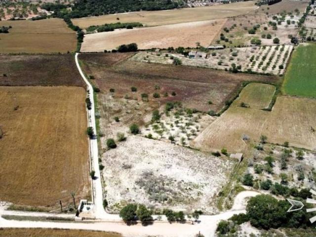 Terreno en Venta en Porreres
