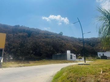 TERRENO EN VENTA EN PORTA FORESTA