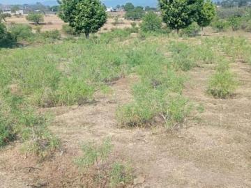 TERRENO EN VENTA EN POTRERO SANTIAGO, YAUTEPEC MORELOS
