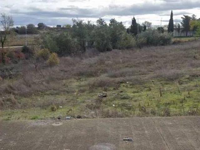 Terreno en Venta en Pozoblanco
