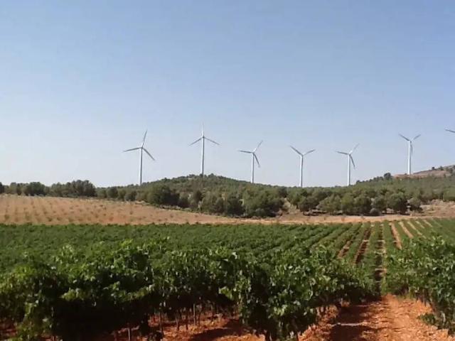 Terreno en Venta en Pozohondo