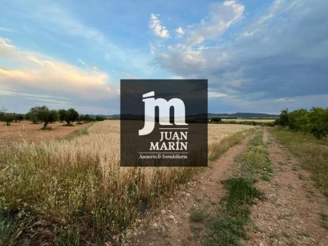 Terreno en venta en Pozohondo, Pozohondo