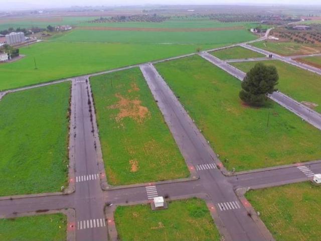 Terreno en Venta en Pozuelo de Calatrava