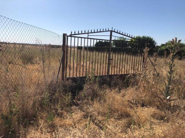 Terreno en Venta en Pozuelo de Calatrava