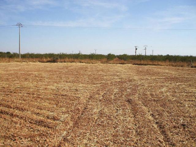 Terreno en Venta en Pozuelo de Calatrava