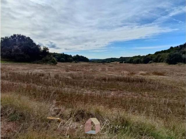 Terreno en Venta en Prats de Lluçanès