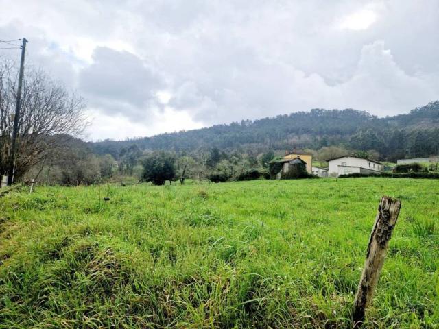 Terreno en Venta en Pravia
