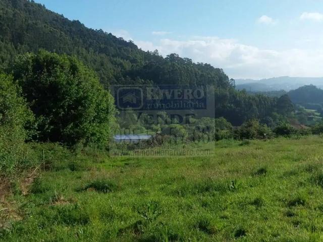 Terreno en Venta en Pravia