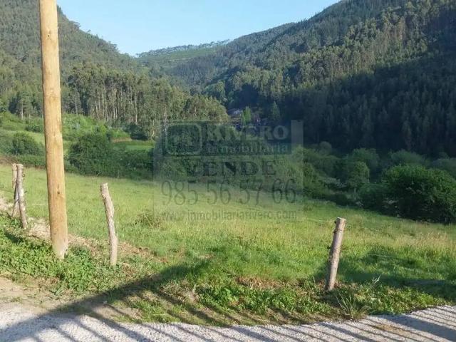 Terreno en Venta en Pravia