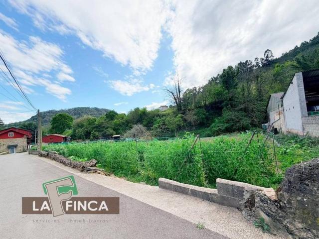 Terreno en Venta en Pravia