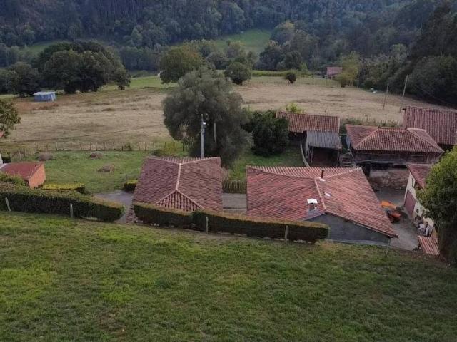 Terreno en Venta en Pravia