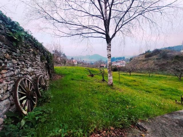 Terreno en Venta en Pravia