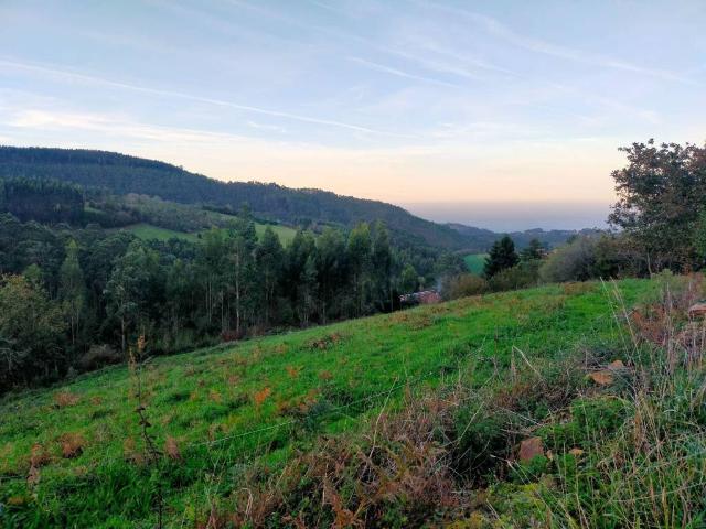 Terreno en Venta en Pravia