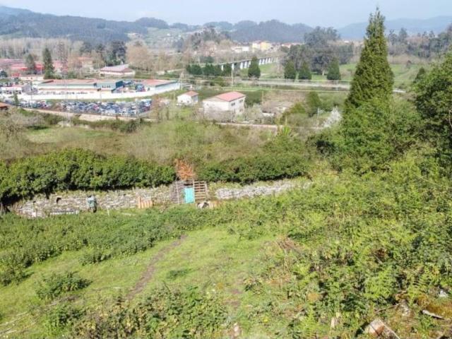 Terreno en Venta en Pravia