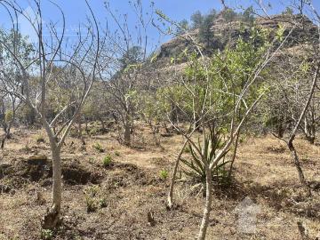 Terreno en Venta en Privada con Seguridad en Tepoztl?n Morelos con Vista Panor?mica