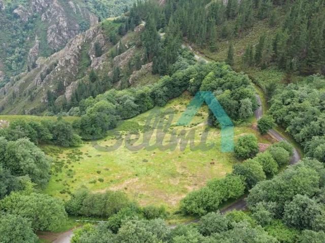 Terreno en Venta en Proaza