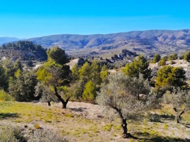 Terreno en venta en Quatretondeta, Comunidad valenciana