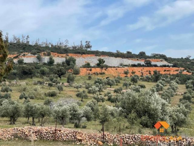 Terreno en Venta en Quintana de La Serena