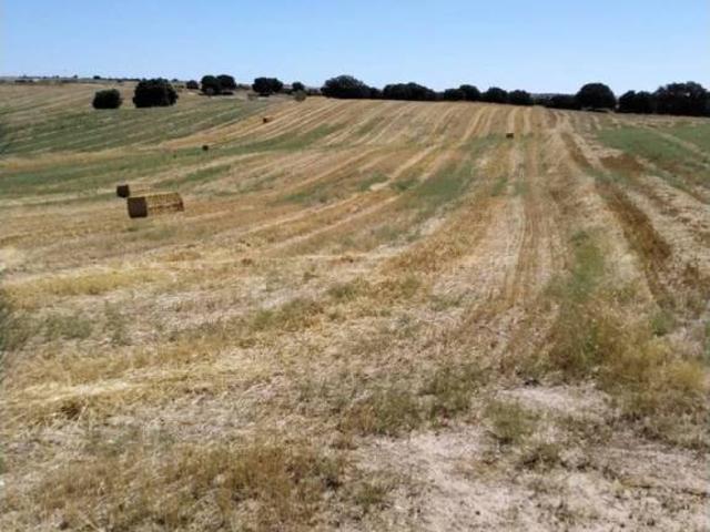 Terreno en Venta en Quijorna