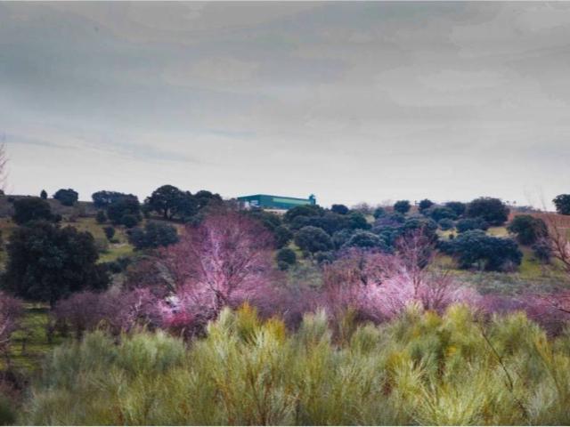 Terreno en Venta en Quijorna