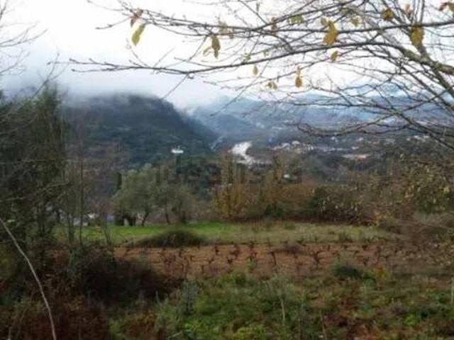 Terreno en Venta en Quiroga