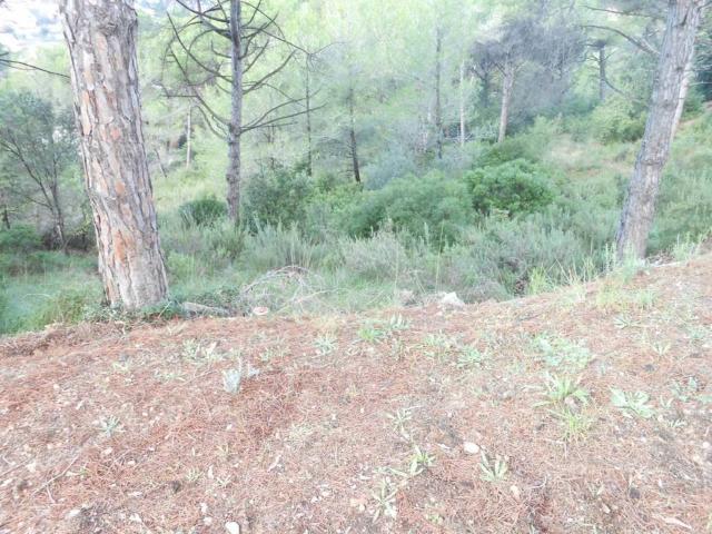 Terreno en Venta en Rubí