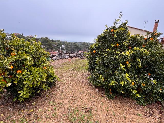 Terreno en venta en Rubí – Construye la casa que siempre has imaginado
