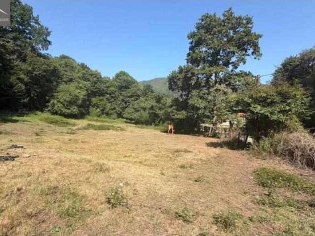 Terreno en Venta en Ruente
