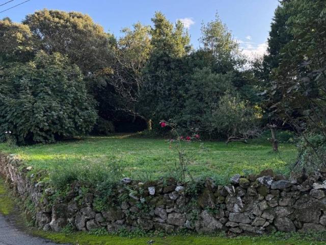 Terreno en Venta en Ruiloba