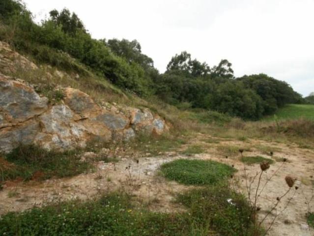 Terreno en venta en Ruiloba, Concha
