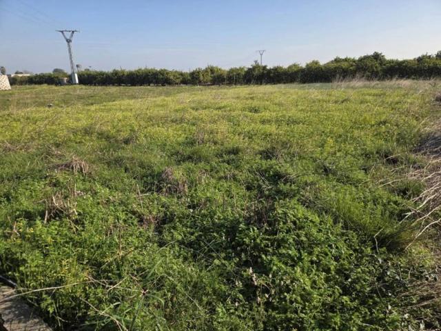 Terreno en Venta en Rafelcofer