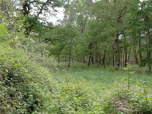 Terreno en venta en Ramirás